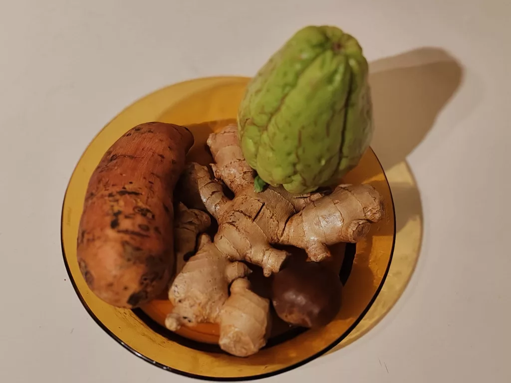 Gingembre, photo 2 - composition (plantes à germer : gingembre, patate douce, chayotte et châtaigne)